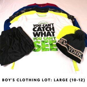 Boy’s Clothing Lot: Large (10-12) 5 shirts + 1 pair of shorts + 2 hats
